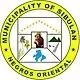 Official seal of Sibulan