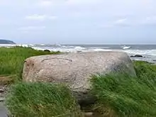 Image 34Erratics, boulders deposited by glaciers far from any existing glaciers, led geologists to the conclusion that climate had changed in the past. (from History of climate change science)