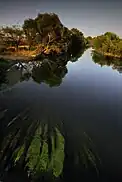 Sitnica river from the bridge