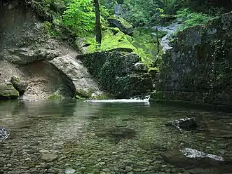 Source of the Allondon River