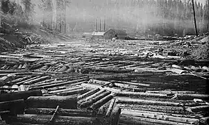 A "full deck" in the log pond ready to be cut.