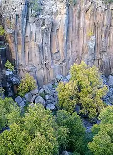 Columnar basalt in the lower canyon