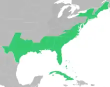 Symphyotrichum tenuifolium distribution map: Bahamas, Cuba, and US (Alabama, Connecticut, Delaware, Florida, Georgia, Louisiana, Maine, Maryland, Massachusetts, Mississippi, New Hampshire, New Jersey, New York, North Carolina, Rhode Island, South Carolina, Texas, and Virginia).