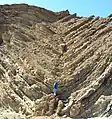 Syncline in the Barstow Formation, lower parking lot of Calico Ghost Town near Barstow, California.