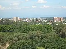 City skyline, viewed over trees