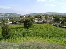 Photograph of a field with the village in the background