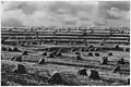 Terraced hay fields in the Upper Mississippi River basin during the 1930s.