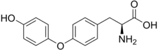 Skeletal formula of L-thyronine