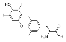 Thyroxine (T4), a hormone.