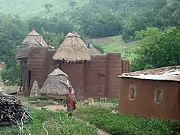 A Tammari house with granaries. The forked poles at the left granary are ladders, with steps cut along their lengths