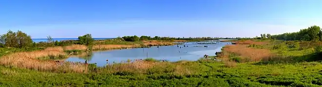 Panorama of a grass surrounding an inlet