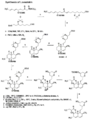 Complete lovastatin synthesis