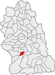 Location in Hunedoara County