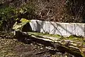 Bench made with a chainsaw-cut tree trunk