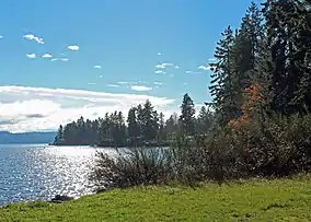 Shoreline covered in a mix of grass, trees, and shrubs