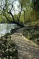 A pathway in the campus