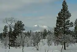 View of the surrounding landscape