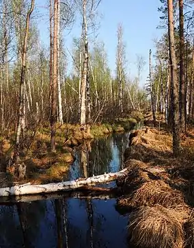 Rdeysky Zapovednik