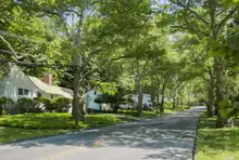 A shaded suburban road