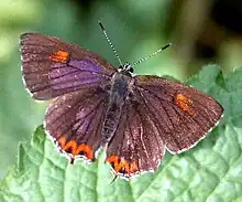 In Uttar Pradesh, India