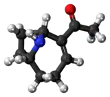 Ball-and-stick model of the anatoxin-a molecule