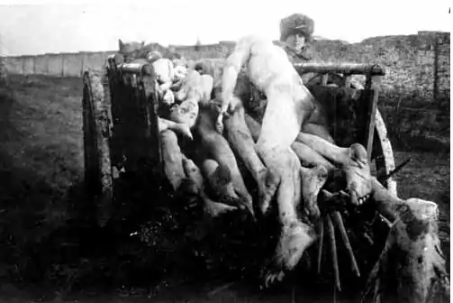 Image 42Victims of the Russian famine of 1921 (from Russian Civil War)