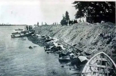 Victims of General Slocum washed ashore at North Brother Island.