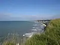 View of the beach