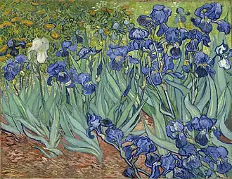 Vincent van Gogh, Irises, 1889