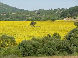 Overlooking the fields