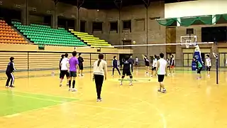 Volleyball court