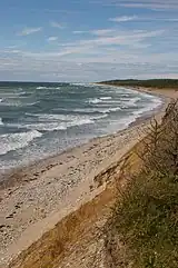 Shoreline with narrow rocky beach and then scrub vegetation