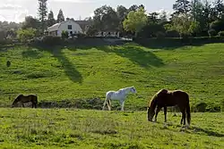 Westwind Community Barn