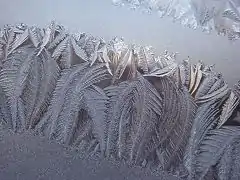 Window frost