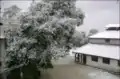 Magnificent snow fall in APS