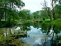 Nestos river outside the city