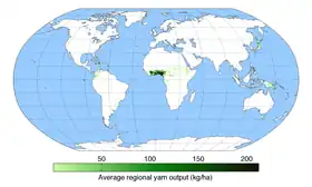 Map of worldwide yam production showing limited production range (Caribbean, West Africa, and Polynesia)