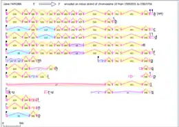 Intron/exon map of Fam188a in Homo sapiens