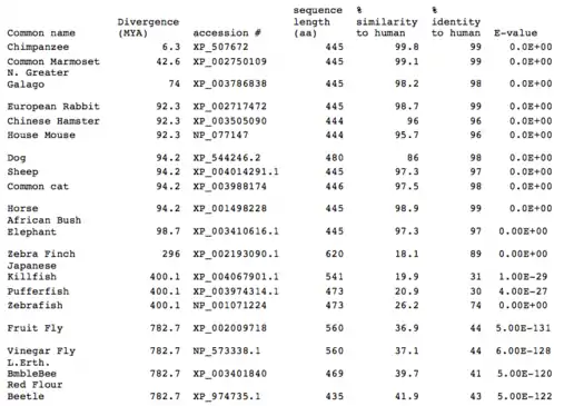 Evolutionary comparison of different species' Fam188a