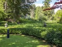 Tea Garden, Monte Verità